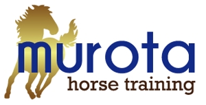 qualia-style ()さんの「murota horse training」のロゴ作成への提案