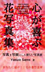 asahi.mizuha ()さんの電子書籍の表紙デザインの依頼への提案