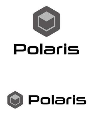 TEX597 (TEXTURE)さんの建築会社「Polaris」のロゴへの提案