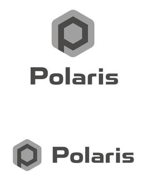 TEX597 (TEXTURE)さんの建築会社「Polaris」のロゴへの提案