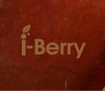 さんのｗｅｂショップ「i-Berry」の看板ロゴ作成への提案