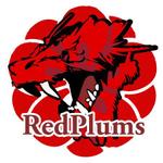 daisyDesign (daisybell)さんの草野球チーム「RedPlums」のロゴ作成への提案