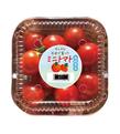 0608_ミニトマト_5.jpg