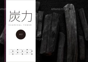 Coopie (coopie)さんのシンプルで洗練されたPOP作成：ただし当選者には別途まとめて数点依頼しますへの提案