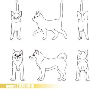 デザインスタジオmaru (KaoruMaruta)さんの動物のイラスト3面図×５種類への提案