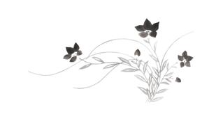 Tiananmenさんの花のイラスト作成　　への提案