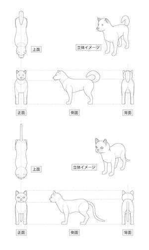 清水洋一 (aimworks)さんの動物のイラスト3面図×５種類への提案
