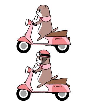 あわいろ (Awa_ir0)さんの【老人ホーム紹介会社】カワウソのイメージキャラクターへの提案