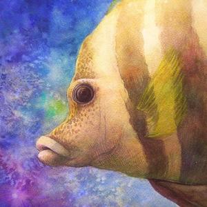 ハイハイミミ（イラスト・絵本） (hihimimi)さんのお寺の天井絵イラストへの提案