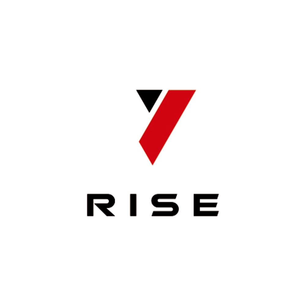合同会社RISE 軽貨物　ロゴ　自由　