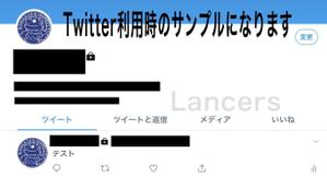 悠希 (yuruta1224)さんの「オオヨロイトカゲ」をモチーフにしたTwitter用アイコン作成の依頼への提案