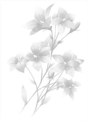 三日月 (kariostro)さんの花のイラスト作成　　への提案