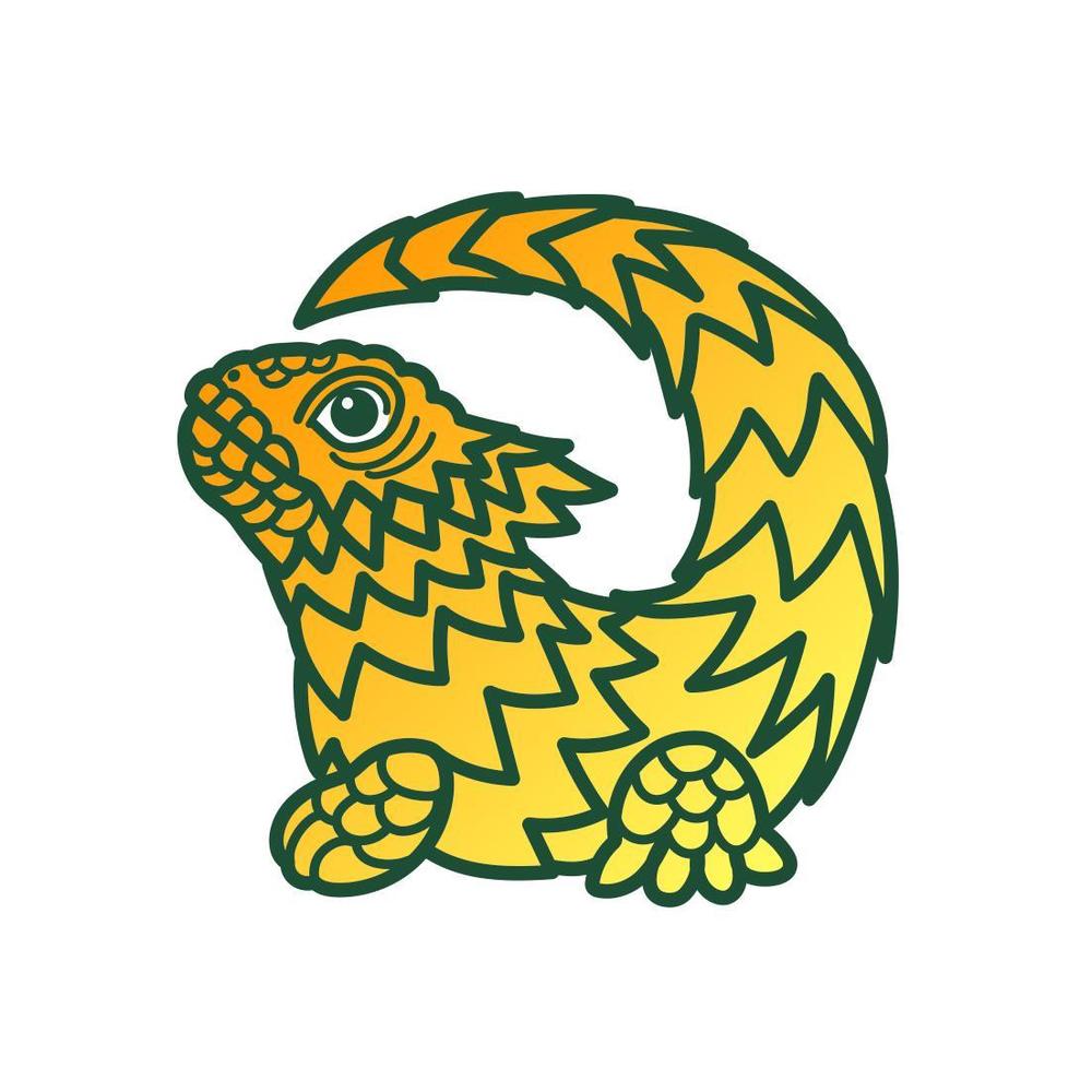 オオヨロイトカゲ.jpg