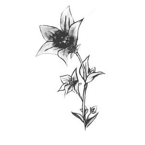 いちの ()さんの花のイラスト作成　　への提案
