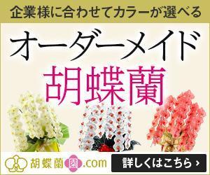Gururi_no_kotoさんの胡蝶蘭園.com・アフィリエイトや広告出稿用のバナー製作（8サイズ）への提案