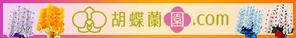 h. (5f059abb66b2c)さんの胡蝶蘭園.com・アフィリエイトや広告出稿用のバナー製作（8サイズ）への提案