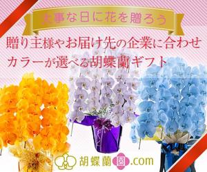 伊藤 智子 (Kurumi_Design_Factory)さんの胡蝶蘭園.com・アフィリエイトや広告出稿用のバナー製作（8サイズ）への提案