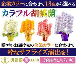 TOP55 (TOP55)さんの胡蝶蘭園.com・アフィリエイトや広告出稿用のバナー製作（8サイズ）への提案