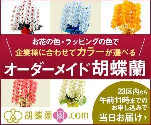 Gururi_no_kotoさんの胡蝶蘭園.com・アフィリエイトや広告出稿用のバナー製作（8サイズ）への提案