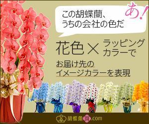 ちばにし (Chiba_Nishi)さんの胡蝶蘭園.com・アフィリエイトや広告出稿用のバナー製作（8サイズ）への提案