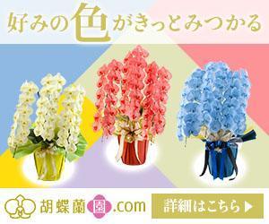towate (towate)さんの胡蝶蘭園.com・アフィリエイトや広告出稿用のバナー製作（8サイズ）への提案