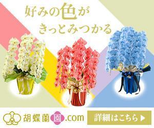 towate (towate)さんの胡蝶蘭園.com・アフィリエイトや広告出稿用のバナー製作（8サイズ）への提案