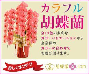 Cam_104 (Cam_104)さんの胡蝶蘭園.com・アフィリエイトや広告出稿用のバナー製作（8サイズ）への提案