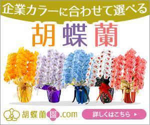 VainStain (VainStain)さんの胡蝶蘭園.com・アフィリエイトや広告出稿用のバナー製作（8サイズ）への提案