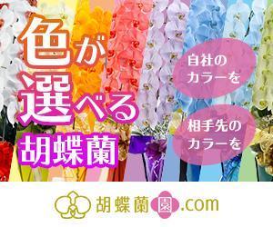 山口兼人 (kenty)さんの胡蝶蘭園.com・アフィリエイトや広告出稿用のバナー製作（8サイズ）への提案