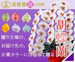 Naomi Tsuda ()さんの胡蝶蘭園.com・アフィリエイトや広告出稿用のバナー製作（8サイズ）への提案