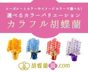 Tamura (Sabon_Yui)さんの胡蝶蘭園.com・アフィリエイトや広告出稿用のバナー製作（8サイズ）への提案