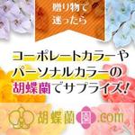 あーるD&W企画 (reika_web)さんの胡蝶蘭園.com・アフィリエイトや広告出稿用のバナー製作（8サイズ）への提案