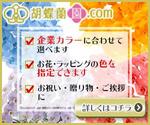 あーるD&W企画 (reika_web)さんの胡蝶蘭園.com・アフィリエイトや広告出稿用のバナー製作（8サイズ）への提案