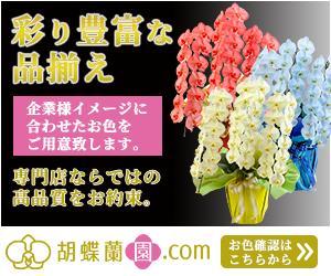 番場高大 (Takamy)さんの胡蝶蘭園.com・アフィリエイトや広告出稿用のバナー製作（8サイズ）への提案