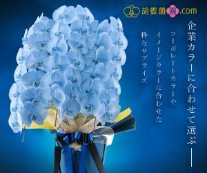 kg12 (kg12)さんの胡蝶蘭園.com・アフィリエイトや広告出稿用のバナー製作（8サイズ）への提案
