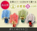 おりがみ (mkmkmkmk)さんの胡蝶蘭園.com・アフィリエイトや広告出稿用のバナー製作（8サイズ）への提案