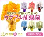 T_kintarou (T_kintarou)さんの胡蝶蘭園.com・アフィリエイトや広告出稿用のバナー製作（8サイズ）への提案