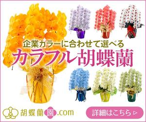 T_kintarou (T_kintarou)さんの胡蝶蘭園.com・アフィリエイトや広告出稿用のバナー製作（8サイズ）への提案