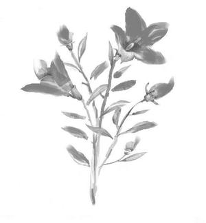 さんの花のイラスト作成　　への提案
