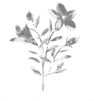 さんの花のイラスト作成　　への提案