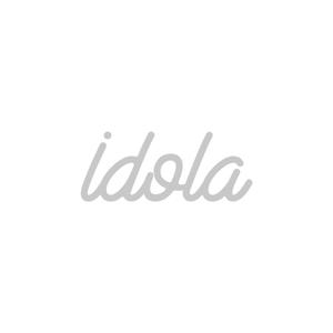 team_antoさんのギャラリー運営会社「idola」のロゴへの提案