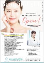 hanako (nishi1226)さんの美容皮膚科クリニックの広告チラシへの提案