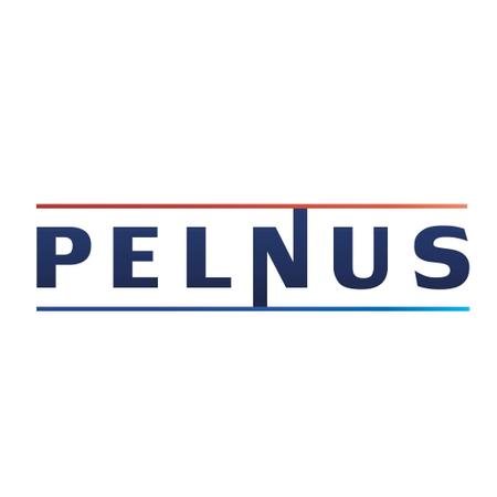 YGD (yoshio_yoshio)さんの「PELNUS」のロゴ作成への提案