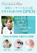 Afro (afrooooh)さんのセルフホワイトニング専門店「Clean & White」グランドオープンチラシへの提案