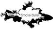 smokebullet copy.jpg