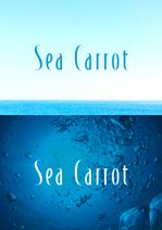 ASATO (ryu0720)さんの化粧品ブランド「Sea Carrot」への提案
