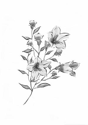 キムラマキコ (makiran)さんの花のイラスト作成　　への提案