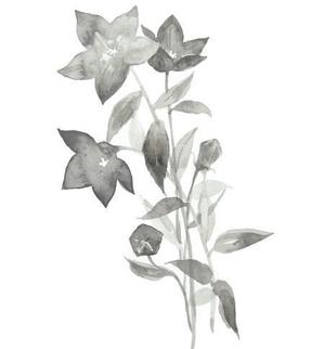 なかいともこ ()さんの花のイラスト作成　　への提案