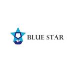 eight.jam (metadesign-lab)さんの障害福祉サービス事業「BLUESTAR」のロゴ作成依頼への提案