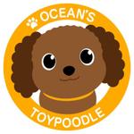 じゅんた (junta)さんのプードル専門店の、イメージキャラクターへの提案